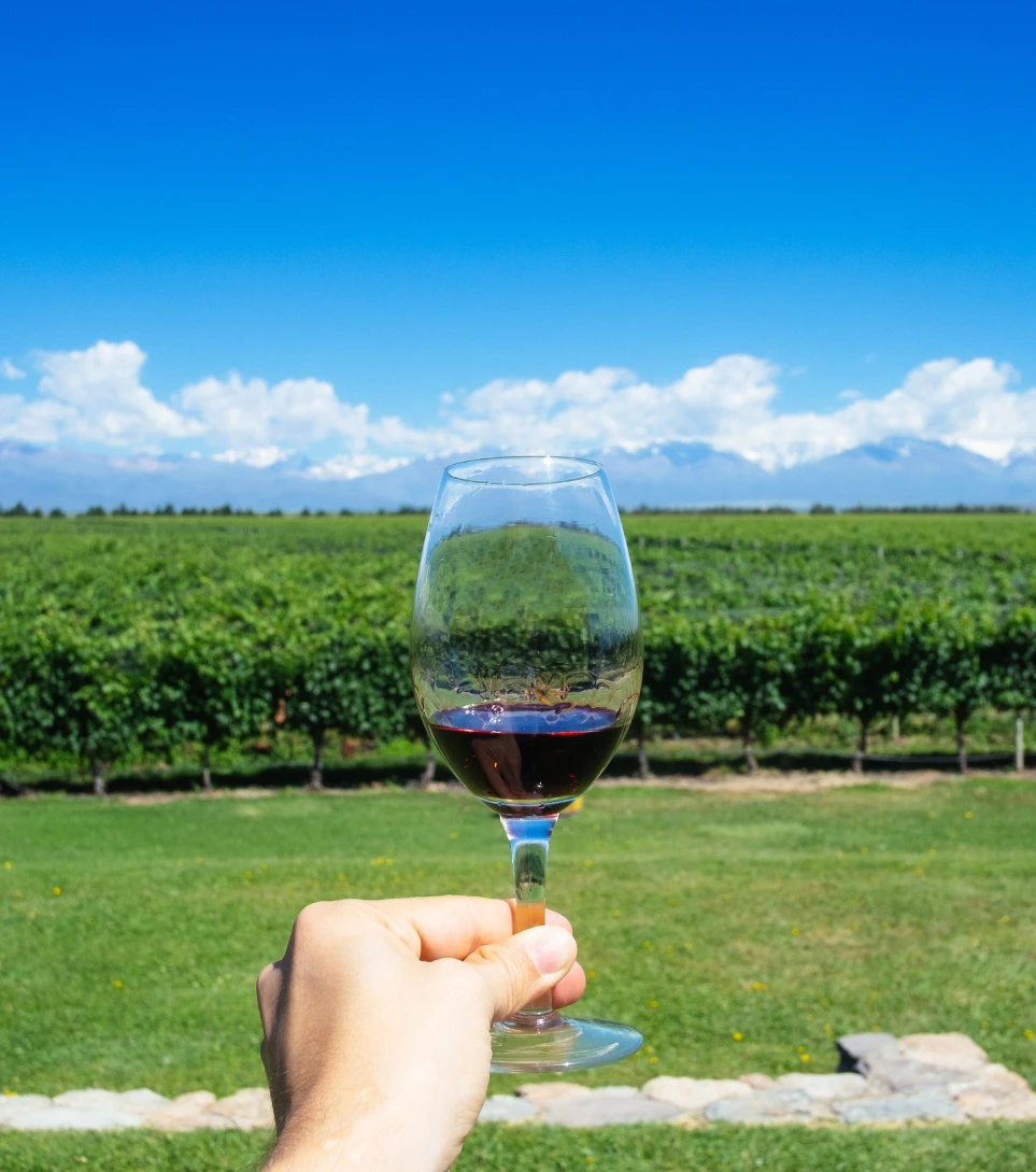 Hand toasting with red wine at a Mendoza vineyard