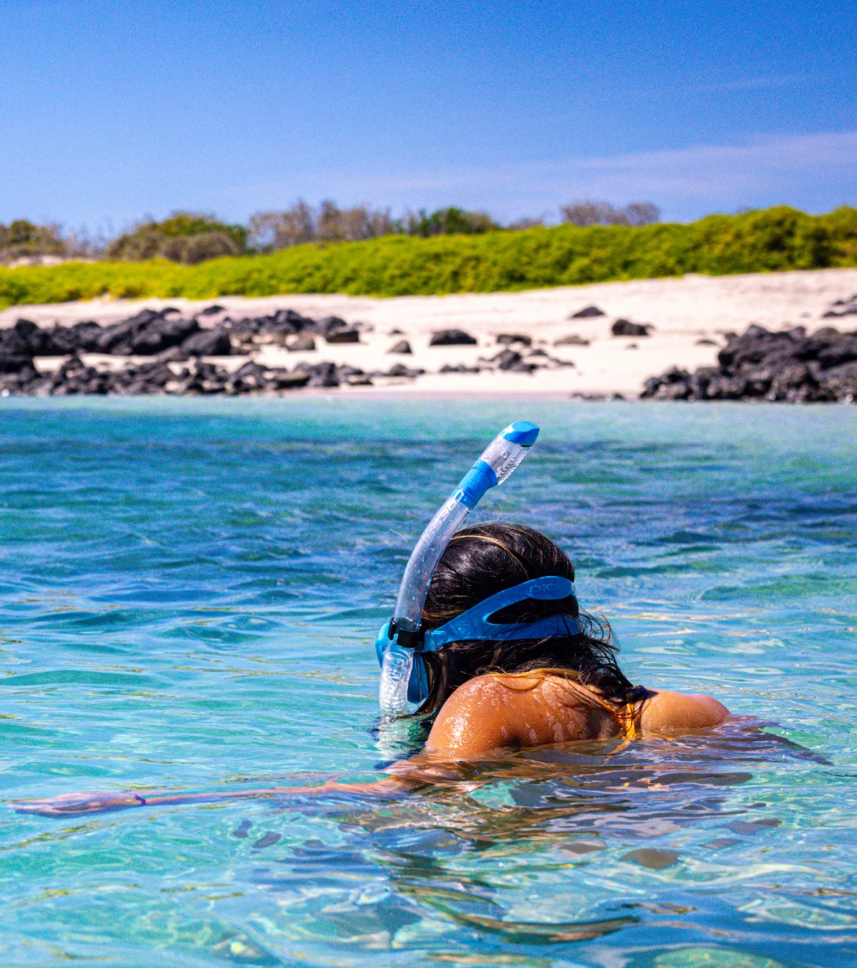 Snorkeler exploring turquoise Galápagos waters, Ecuador