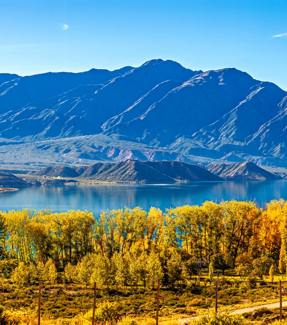 Autumn foliage and lake beneath Patagonian mountains