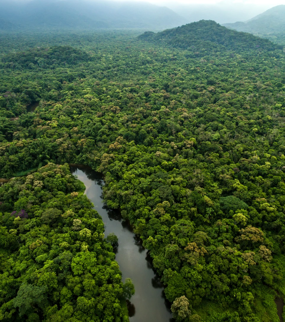 Aerial view of winding rainforest river in the Amazon basin