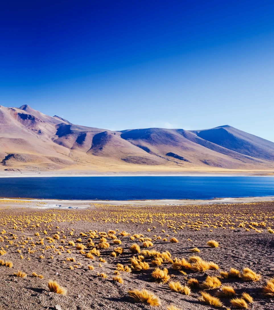 Atacama altiplano lagoon ringed by arid hills, Chile