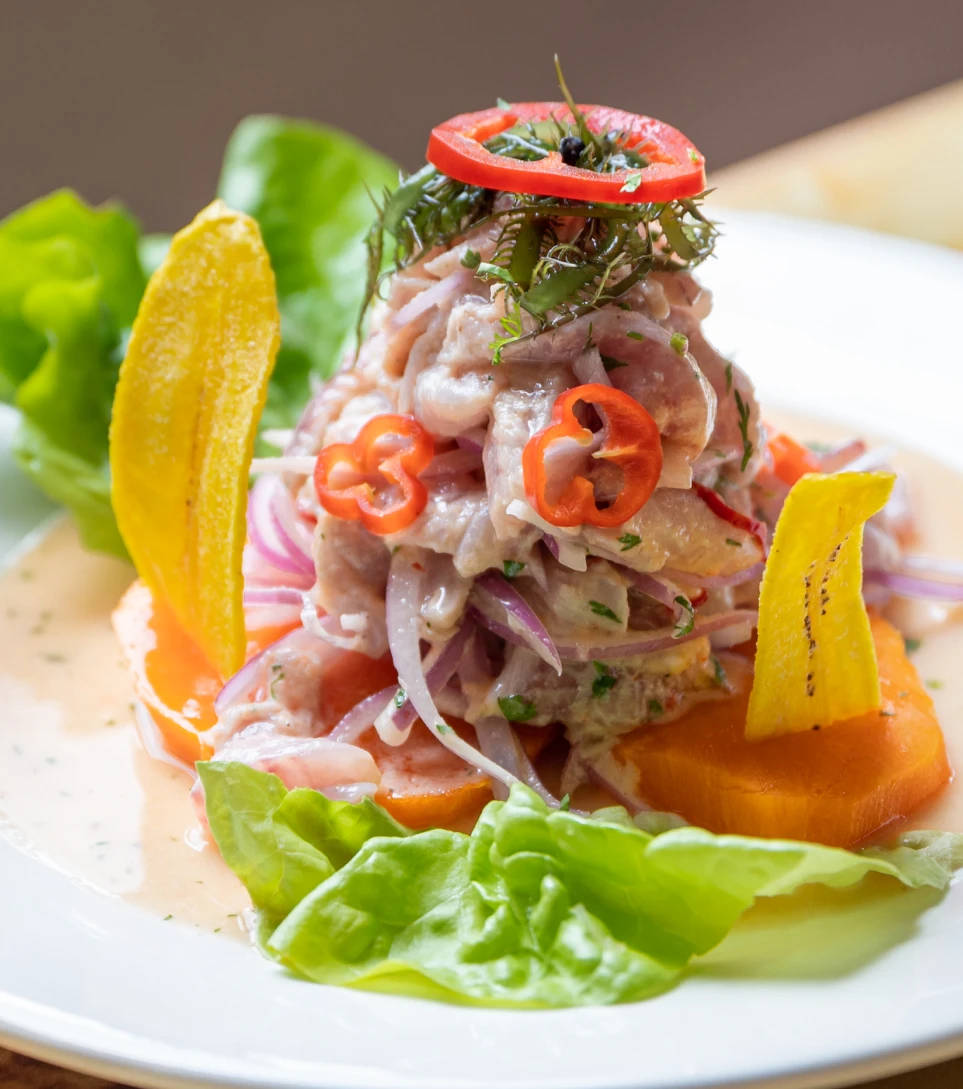 Fresh Peruvian ceviche with red onion and lime